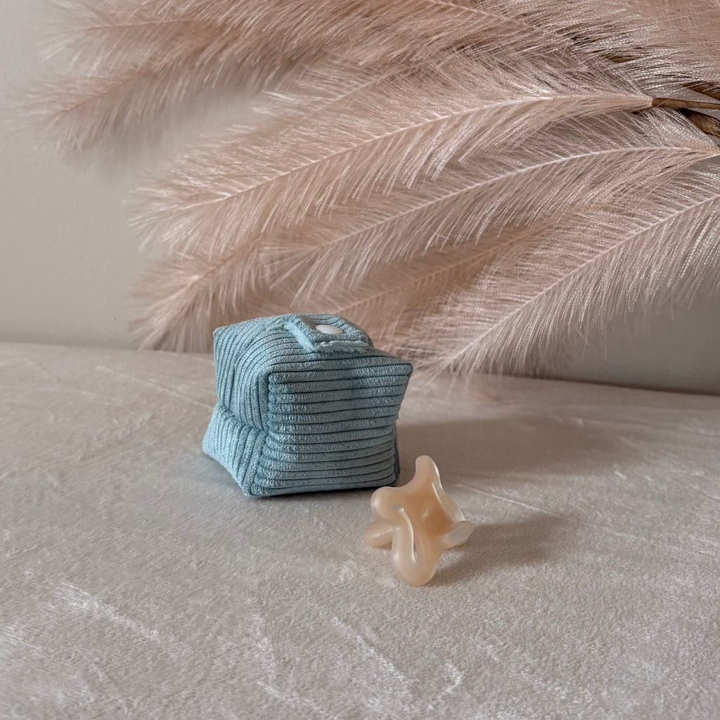 Boîte range tétine